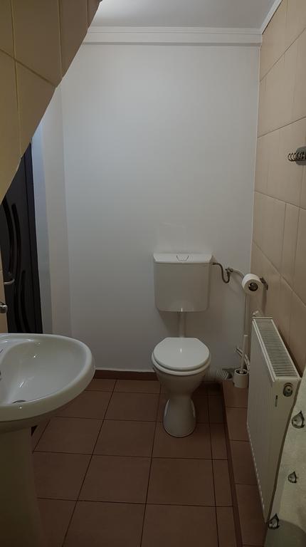 קלוז'-נאפוקה Vila Parc מראה חיצוני תמונה